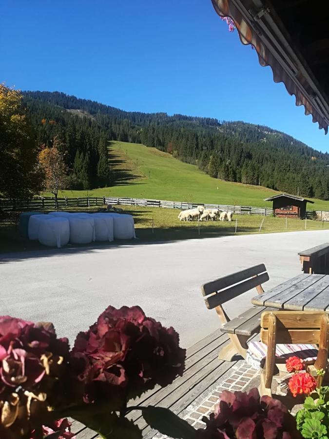 Pension Walchauhof Flachau Exterior photo