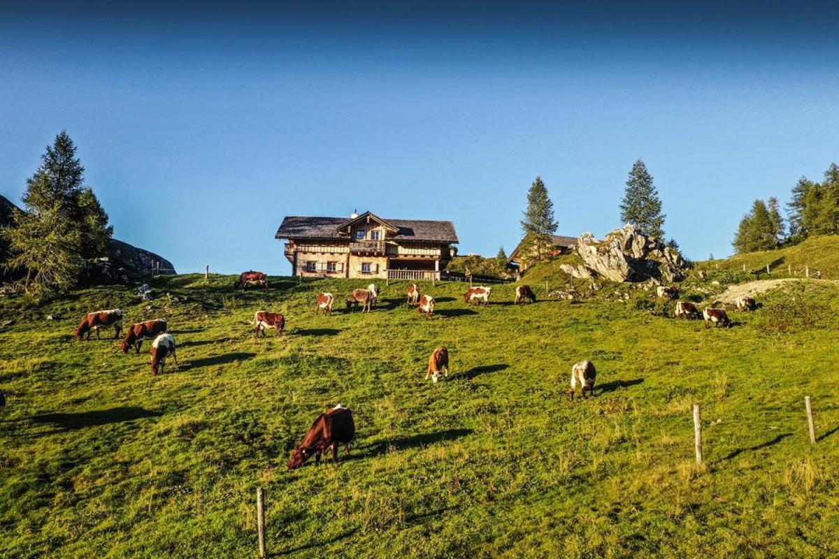 Pension Walchauhof Flachau Exterior photo