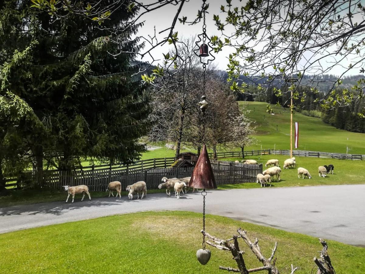 Pension Walchauhof Flachau Exterior photo